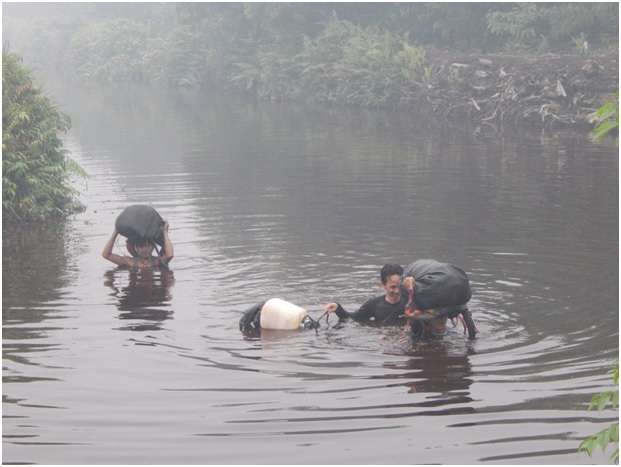 [Guest Blog] Behind the Scenes of Ecosystem Restoration: A Salute to the Field Teams working on Restorasi Ekosistem Riau (RER) by Dr Tony Whitten