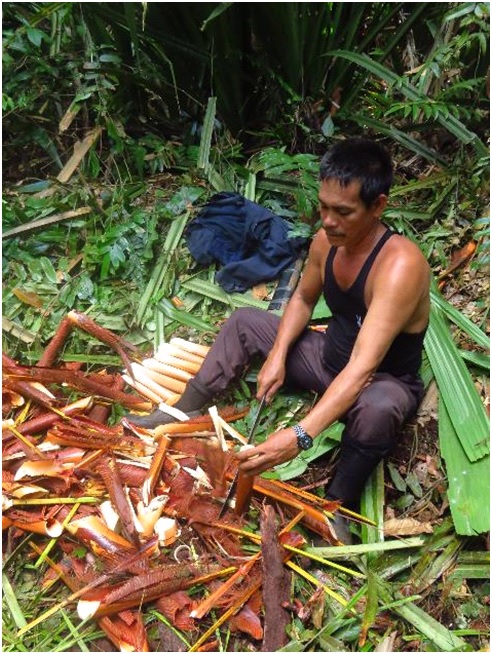 [Guest Blog] Behind the Scenes of Ecosystem Restoration: A Salute to the Field Teams working on Restorasi Ekosistem Riau (RER) by Dr Tony Whitten