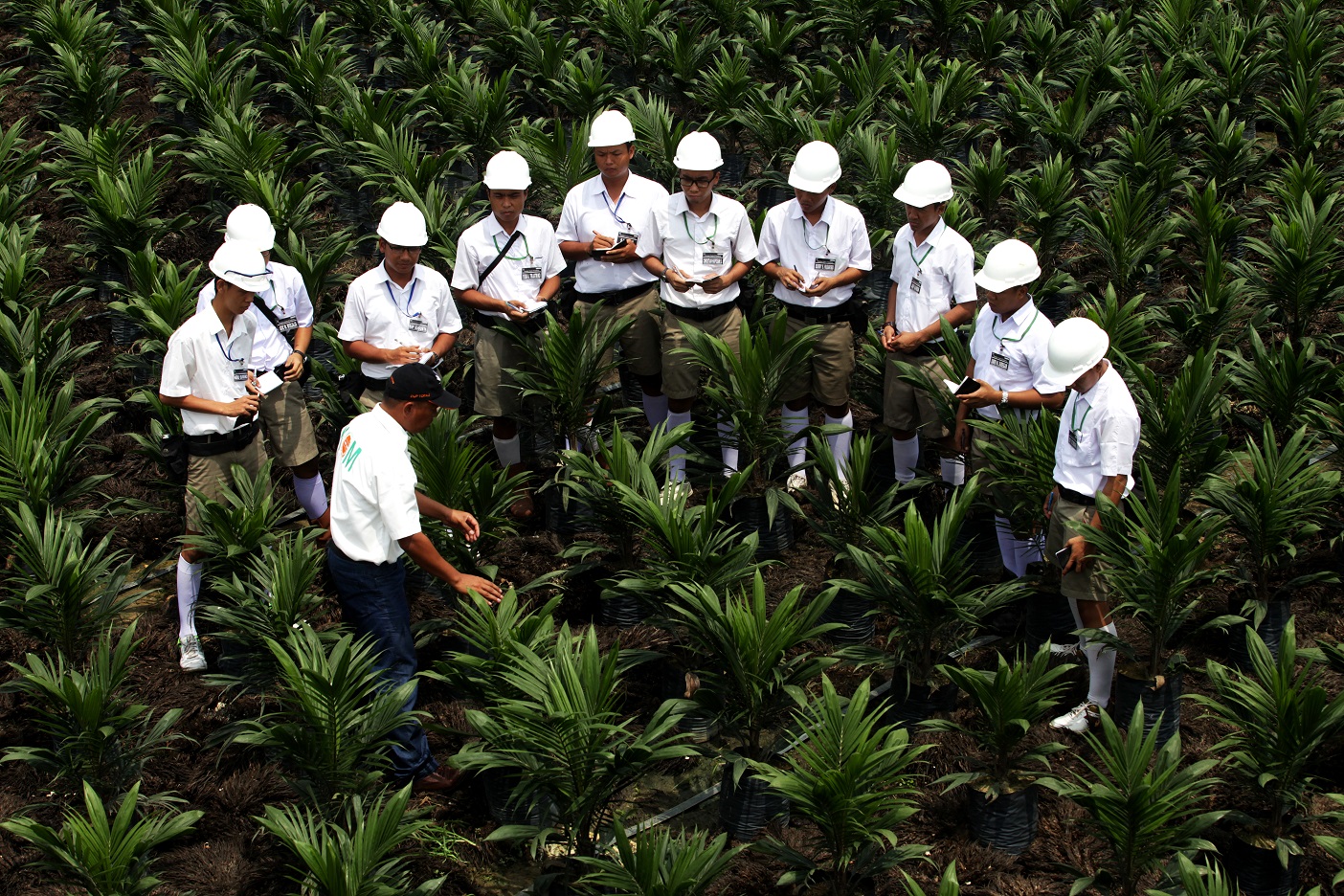 Asian Agri Learning Institute Pic 3.jpeg